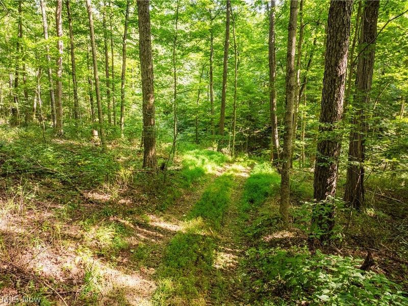 Private Road 3000, Millersburg, OH 44654 Photo 25