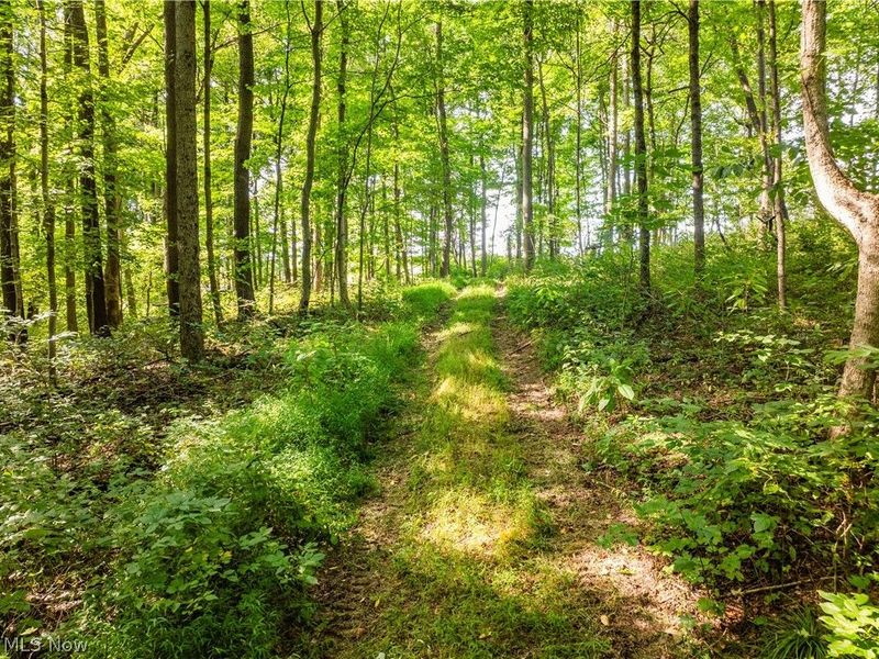 Private Road 3000, Millersburg, OH 44654 Photo 26