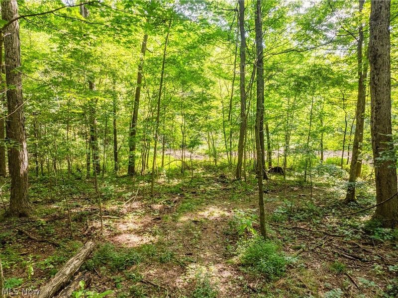 Private Road 3000, Millersburg, OH 44654 Photo 28
