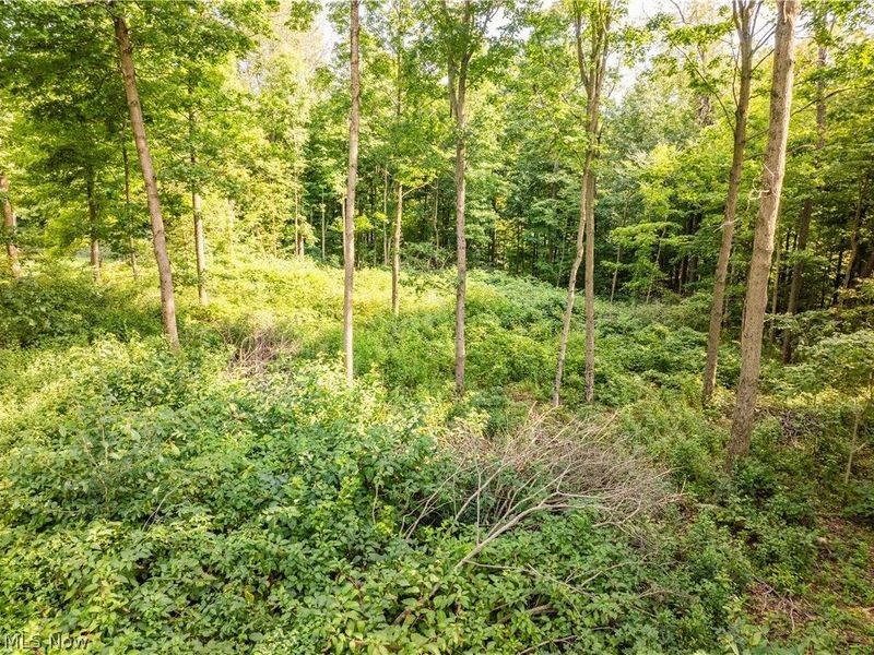 Private Road 3000, Millersburg, OH 44654 Photo 3