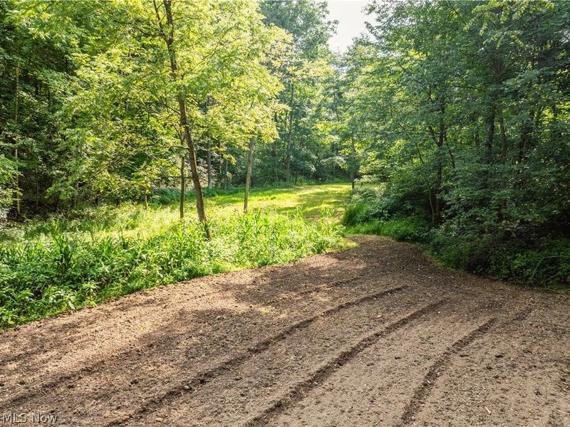 Private Road 3000, Millersburg, OH 44654 Photo 31