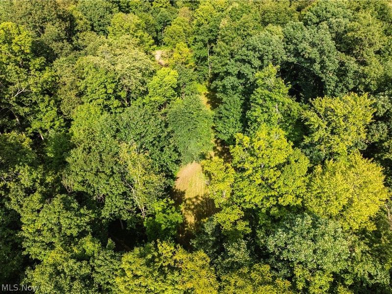 Private Road 3000, Millersburg, OH 44654 Photo 35