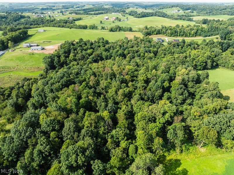 Private Road 3000, Millersburg, OH 44654 Photo 36