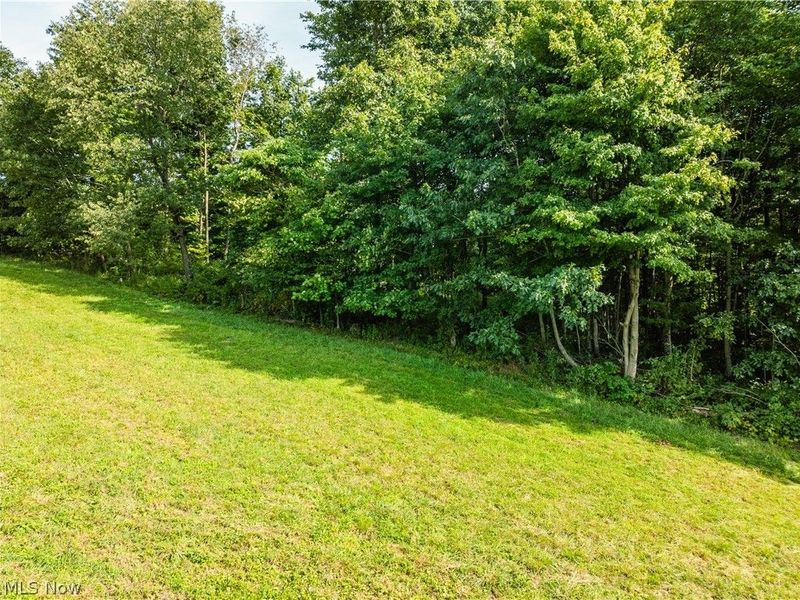 Private Road 3000, Millersburg, OH 44654 Photo 39