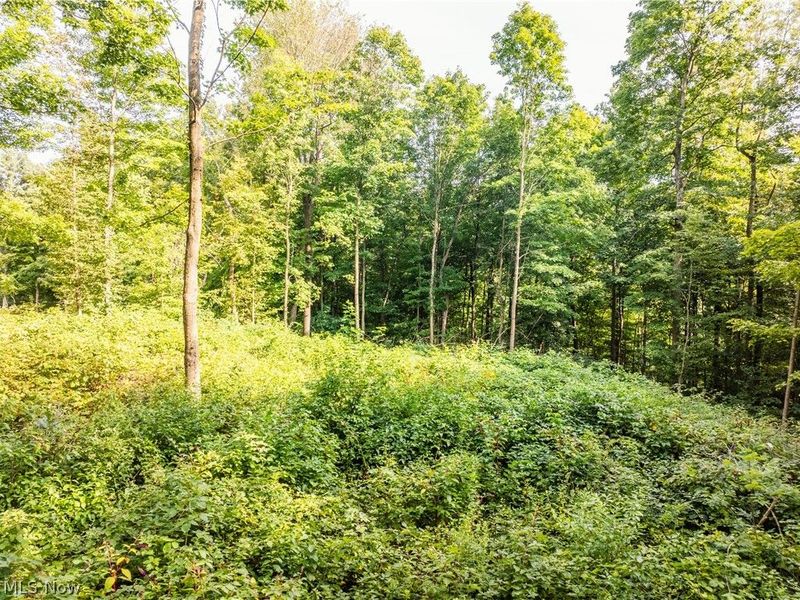 Private Road 3000, Millersburg, OH 44654 Photo 4
