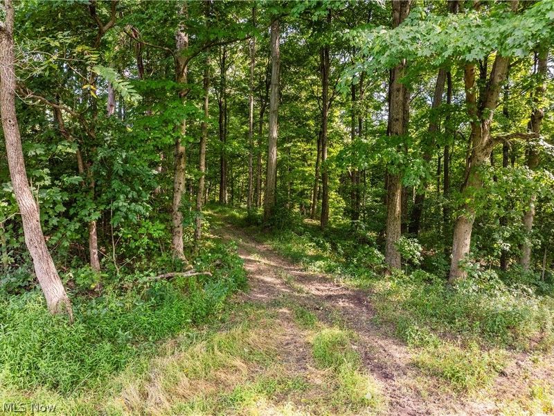 Private Road 3000, Millersburg, OH 44654 Photo 41