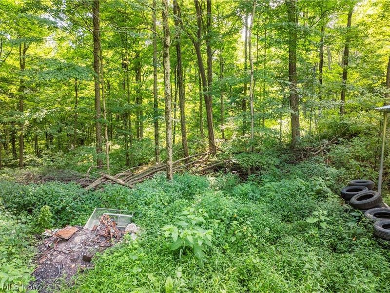 Private Road 3000, Millersburg, OH 44654 Photo 42