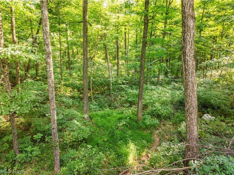 Private Road 3000, Millersburg, OH 44654 Photo 44