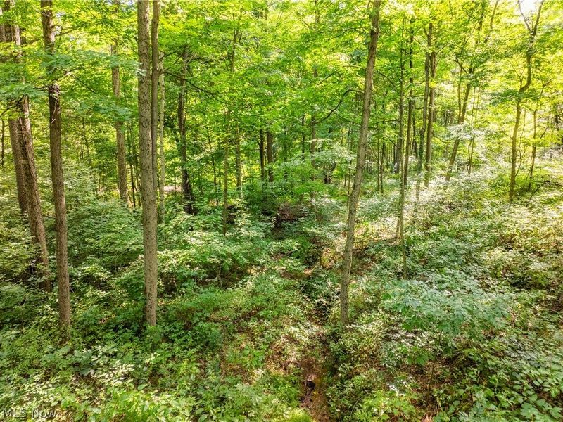 Private Road 3000, Millersburg, OH 44654 Photo 45