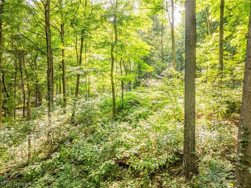 Private Road 3000, Millersburg, OH 44654 Photo 46