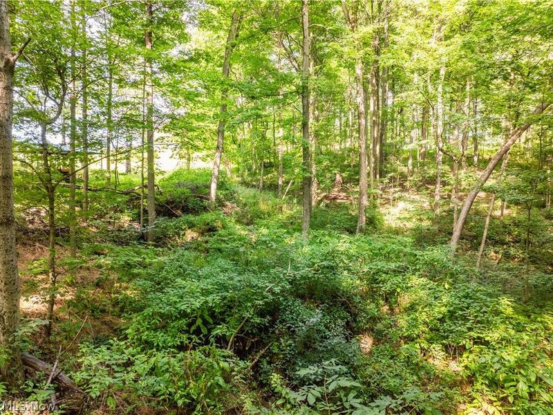 Private Road 3000, Millersburg, OH 44654 Photo 47