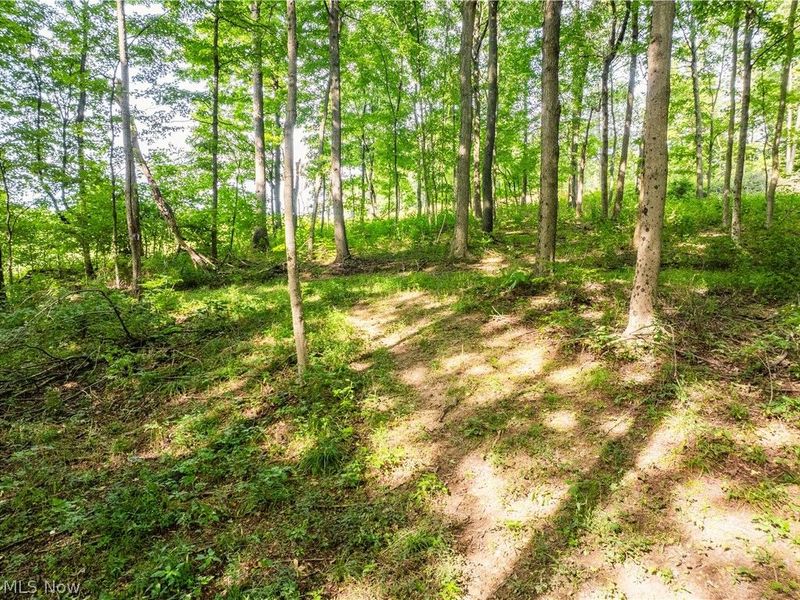 Private Road 3000, Millersburg, OH 44654 Photo 48