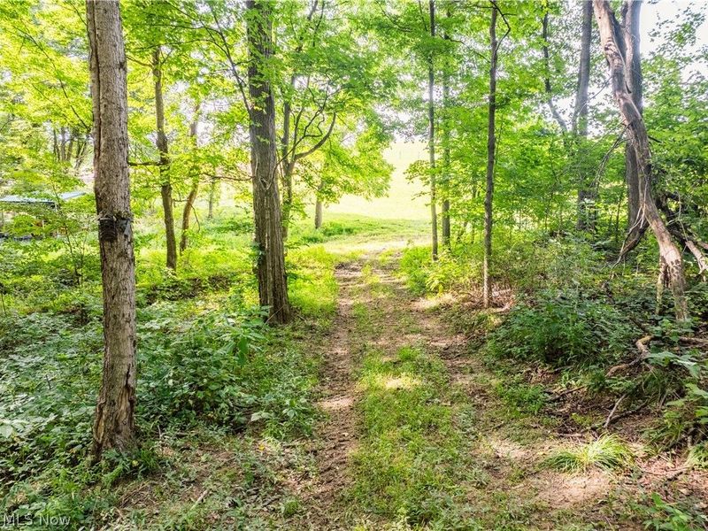 Private Road 3000, Millersburg, OH 44654 Photo 49