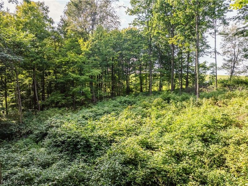 Private Road 3000, Millersburg, OH 44654 Photo 5