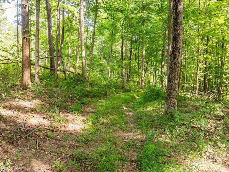 Private Road 3000, Millersburg, OH 44654 Photo 50
