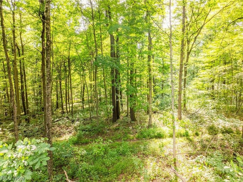 Private Road 3000, Millersburg, OH 44654 Photo 6
