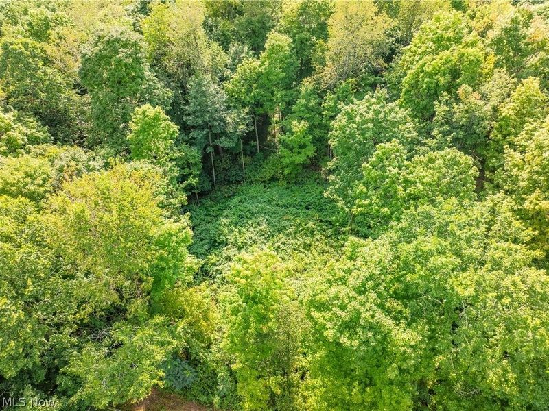 Private Road 3000, Millersburg, OH 44654 Photo 7