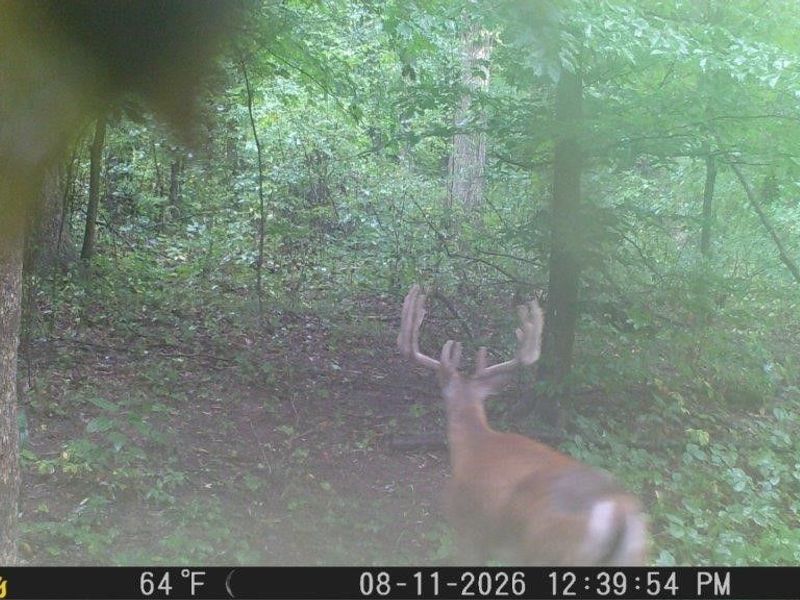Private Road 3000, Millersburg, OH 44654 Photo 9