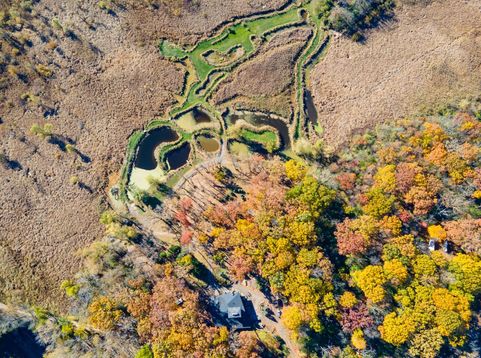 Main Photo