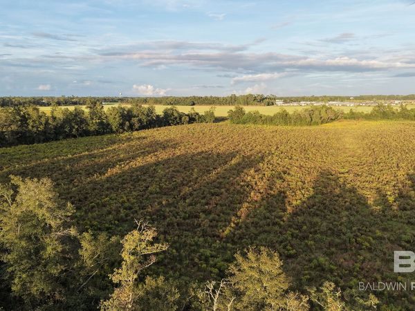 0 County Rd 26 Lot 13, Foley, AL 36535