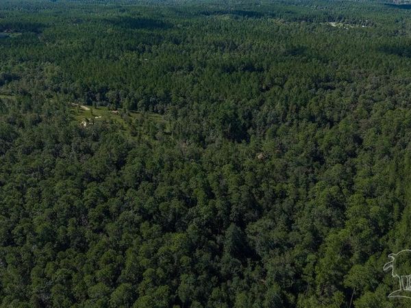 18.69 ACRES Native Creek Rd, Pace, FL 32571