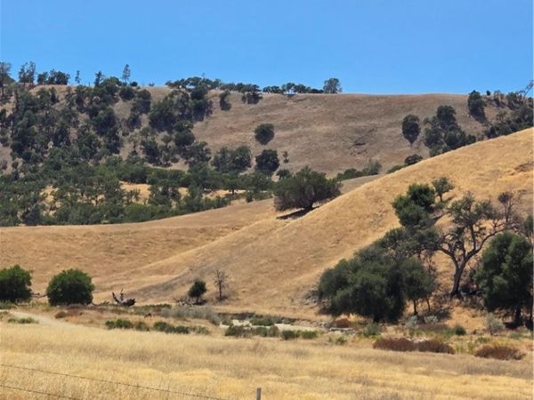 71903 Vineyard Canyon Road, San Miguel, CA 93451