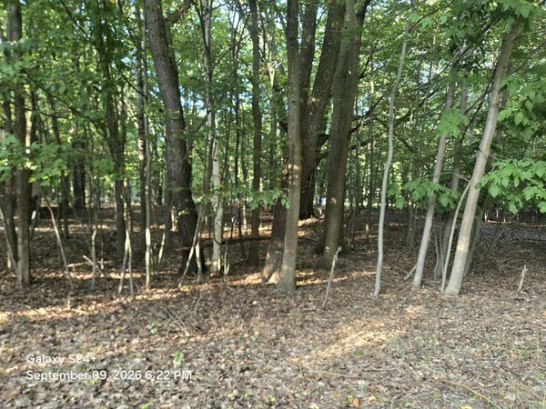 4 lots W Beech Street, Ludington, MI 49431