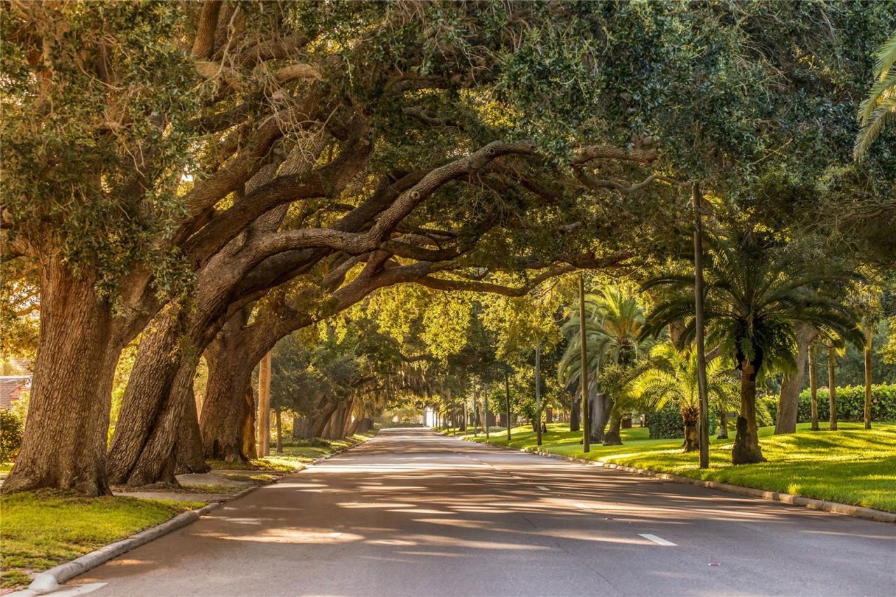 228 Vestavia Drive, Venice, FL 34292 Photo