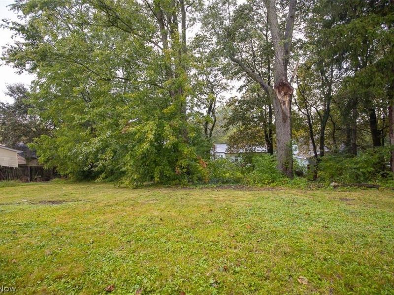 1208 Roslyn Avenue, Akron, OH 44320 Photo 5
