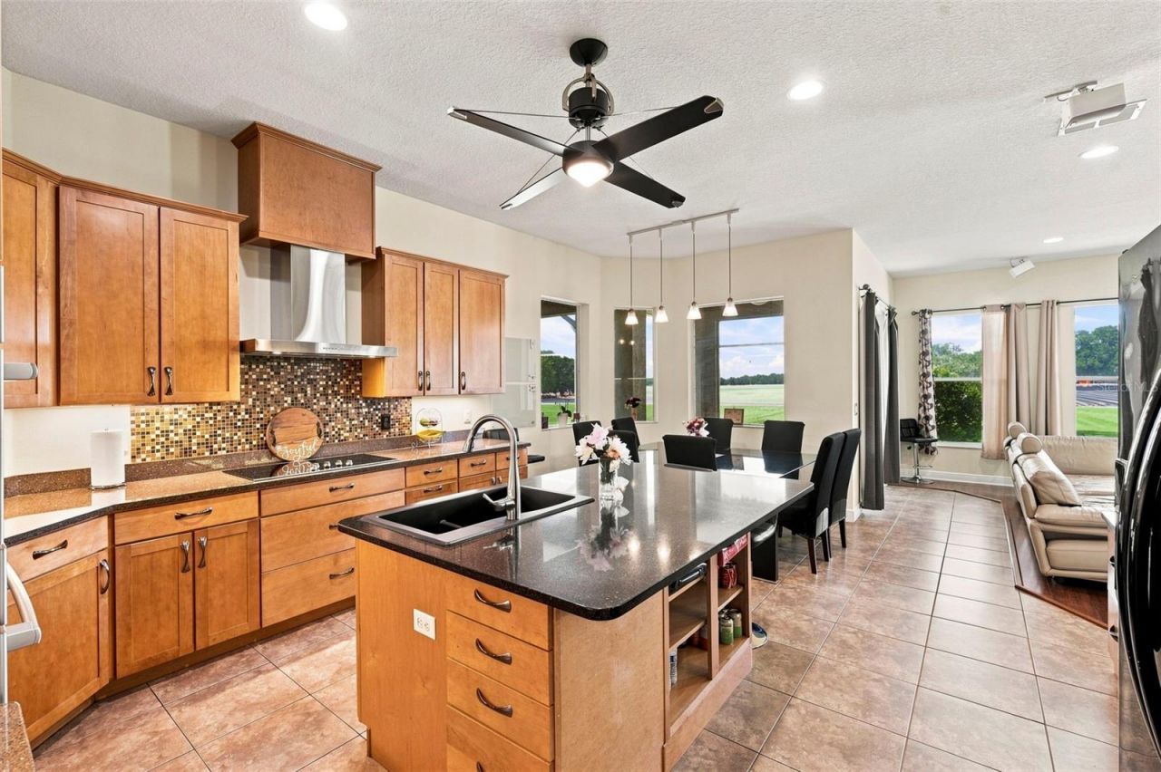 3410 Punkin Patch Lane, Dover, FL 33527 Photo