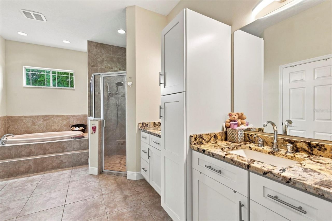 3410 Punkin Patch Lane, Dover, FL 33527 Photo