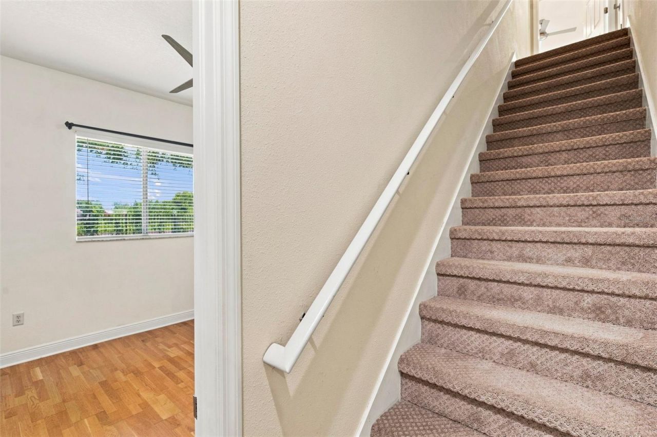 3410 Punkin Patch Lane, Dover, FL 33527 Photo