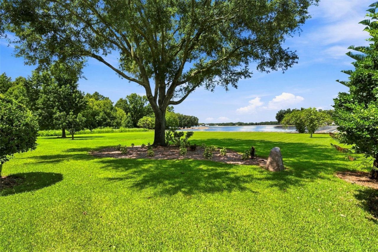 3410 Punkin Patch Lane, Dover, FL 33527 Photo