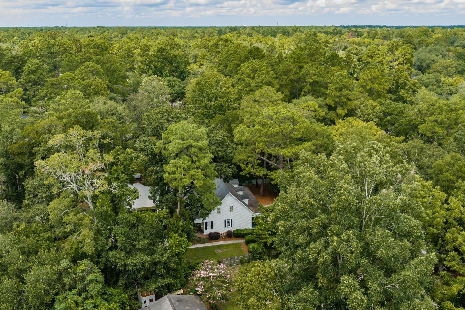120 Sasportas Lane Photo 61
