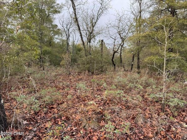 Lot 45 Cavalier Drive , Chipley, FL 32428
