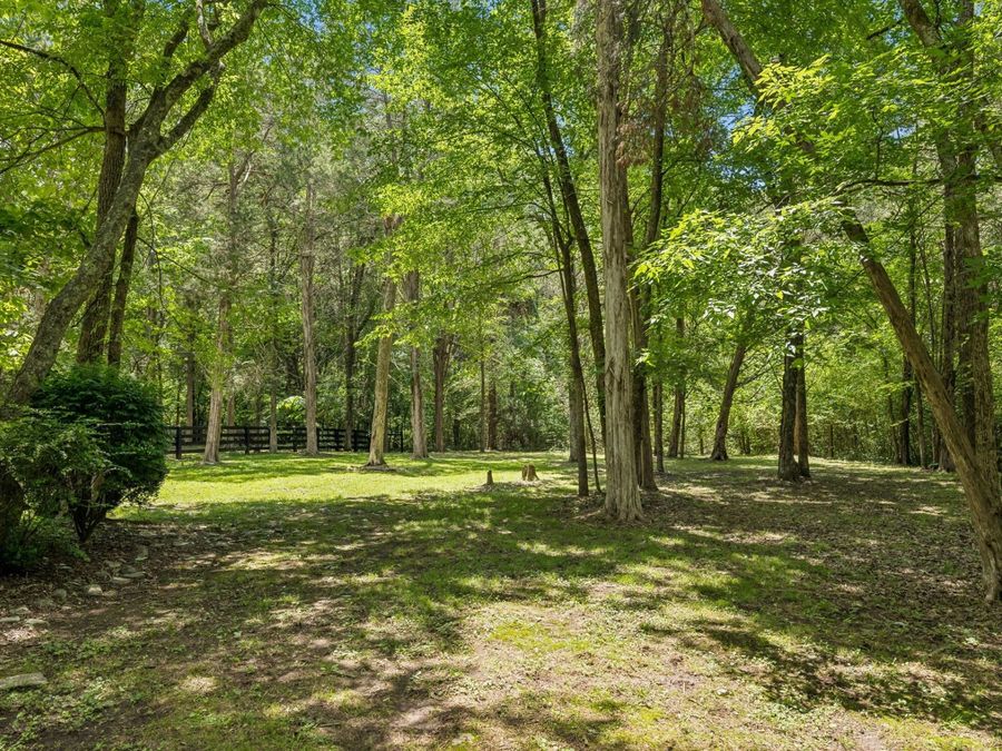 Property Image 81