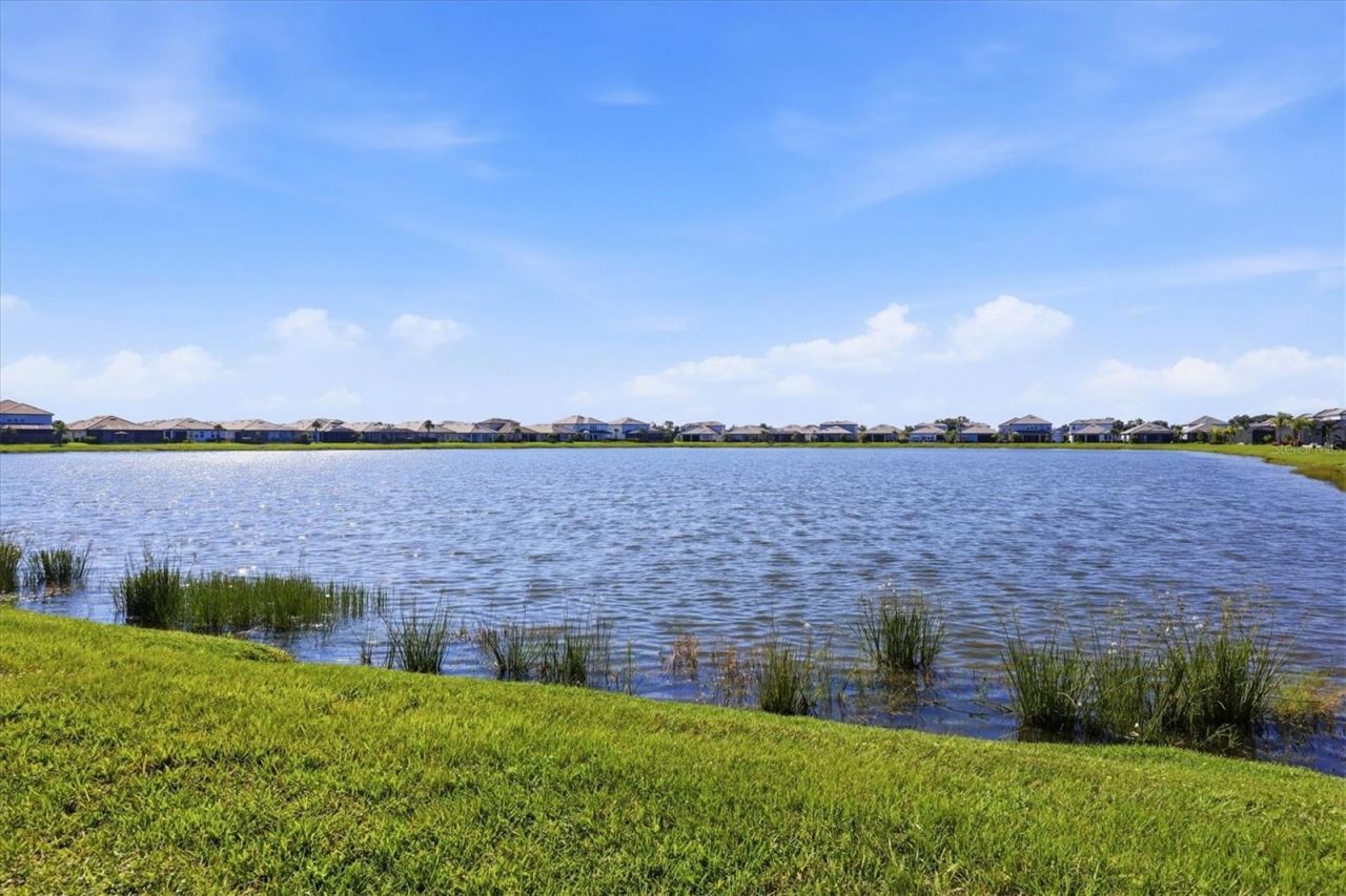 17539 Savory Mist Circle, Lakewood Ranch, FL 34211 Photo