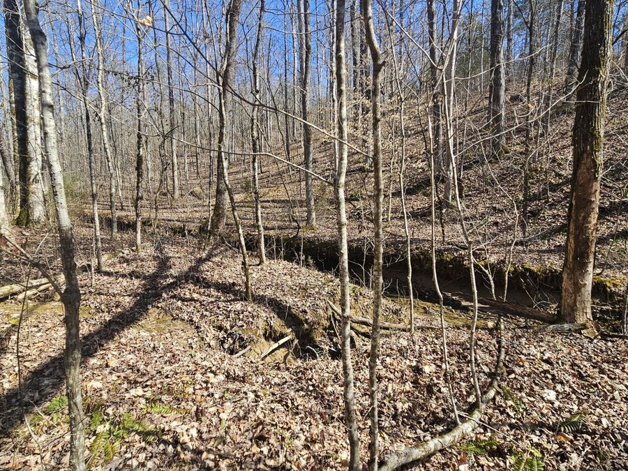 Property Image 18