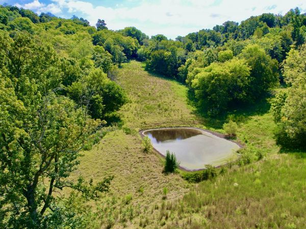 0 Crooked Hill Rd , Pulaski, TN 38478