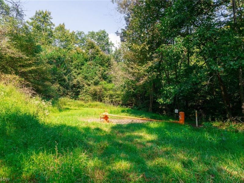 75601 Eighth Street, Newcomerstown, OH 43749 Photo 32
