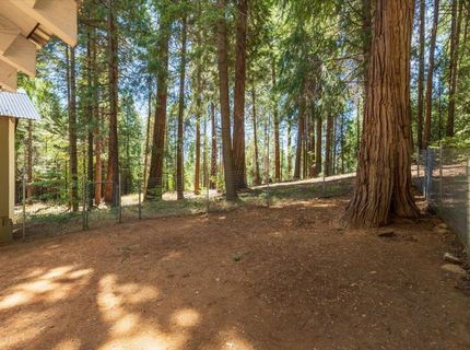 550 Caine Rd, Alta, CA 95701 Photo