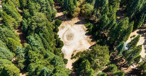 550 Caine Rd, Alta, CA 95701 Photo