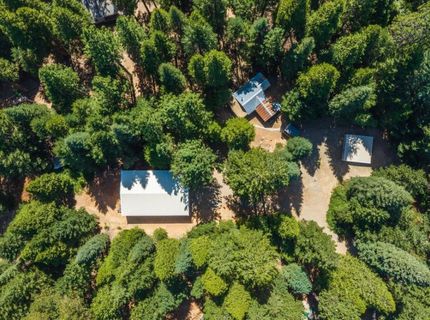 550 Caine Rd, Alta, CA 95701 Photo