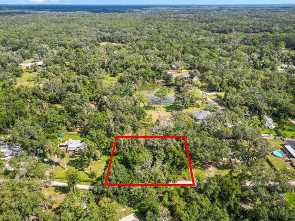11XXX SW 42ND TERRACE , WEBSTER, FL 33597
