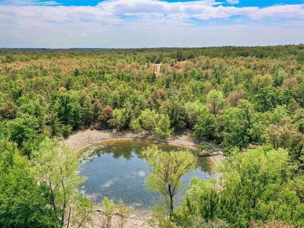 TBD Two Bush Road Road, Perrin, TX 76486