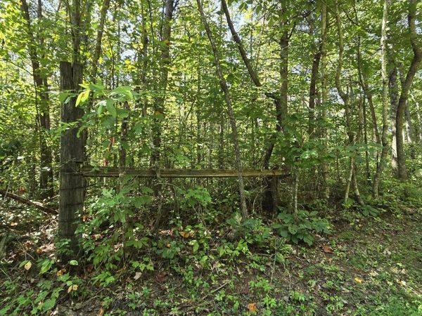 0 Old Rugby Pike, Robbins, TN 37852