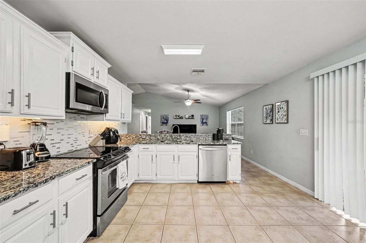 30944 Teho Street, Mount Plymouth, FL 32776 Photo