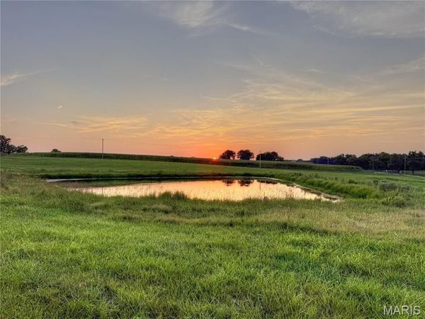 53.5 Ac m/l Pike 493 , Bowling Green, MO 63334