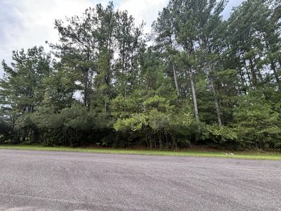 1128 Plantation Overlook, Moncks Corner, SC 29461