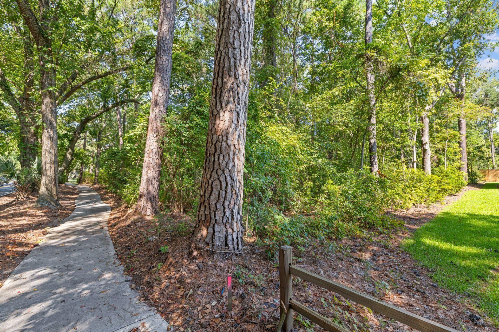 923 Long Point Road Photo 5